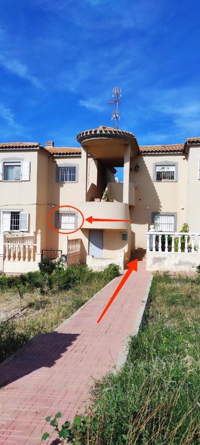 Zeus Beach La Mata Торрев'єха Екстер'єр фото